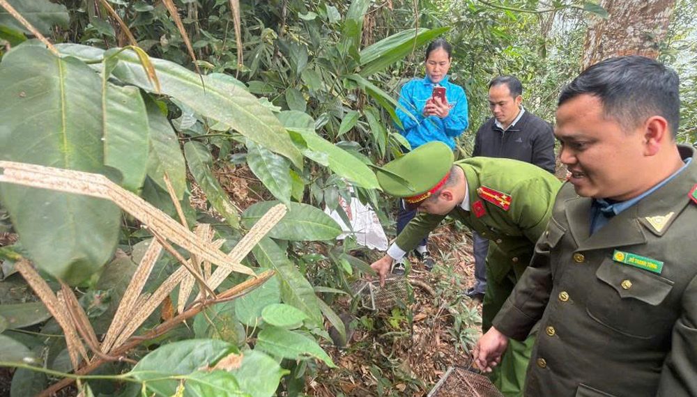 Công an xã Dương Hưu phối hợp thả động vật hoang dã về tự nhiên