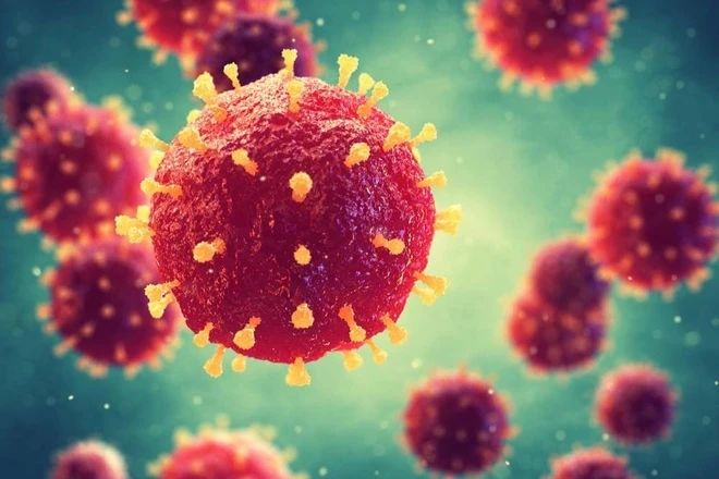 THÔNG TIN VỀ DỊCH BỆNH DO VI RÚT NIPAH VÀ KHUYẾN CÁO PHÒNG CHỐNG TẠI VIỆT NAM