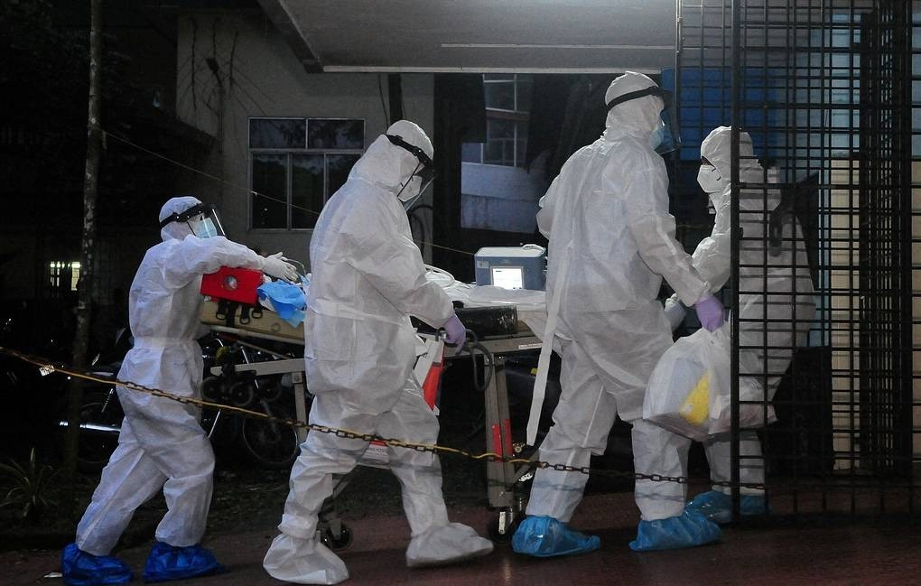 Chuyên gia nói về nguy cơ virus Nipah xâm nhập Việt Nam