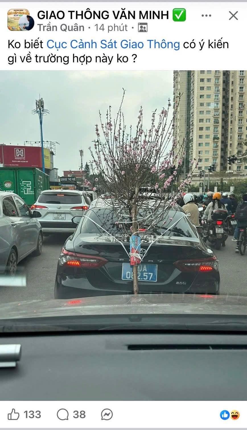 XE “BIỂN XANH” BUỘC CÀNH ĐÀO CHE BIỂN SỐ BỊ XỬ PHẠT