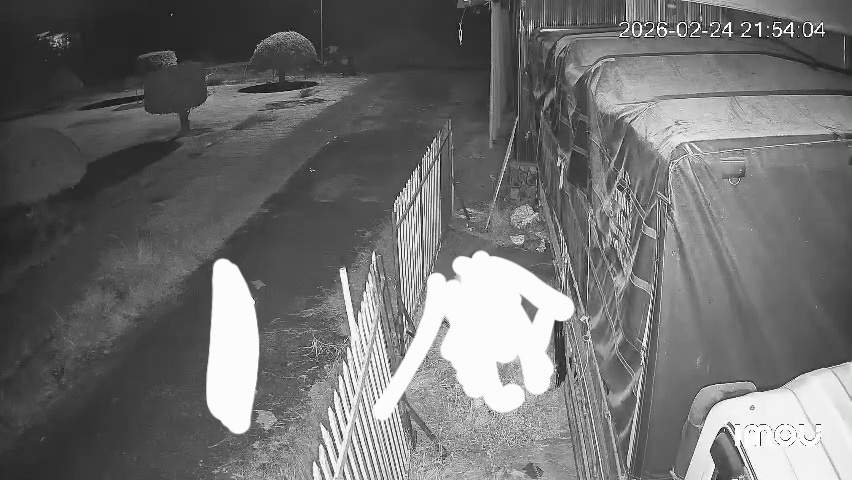 [Clip] Sự việc