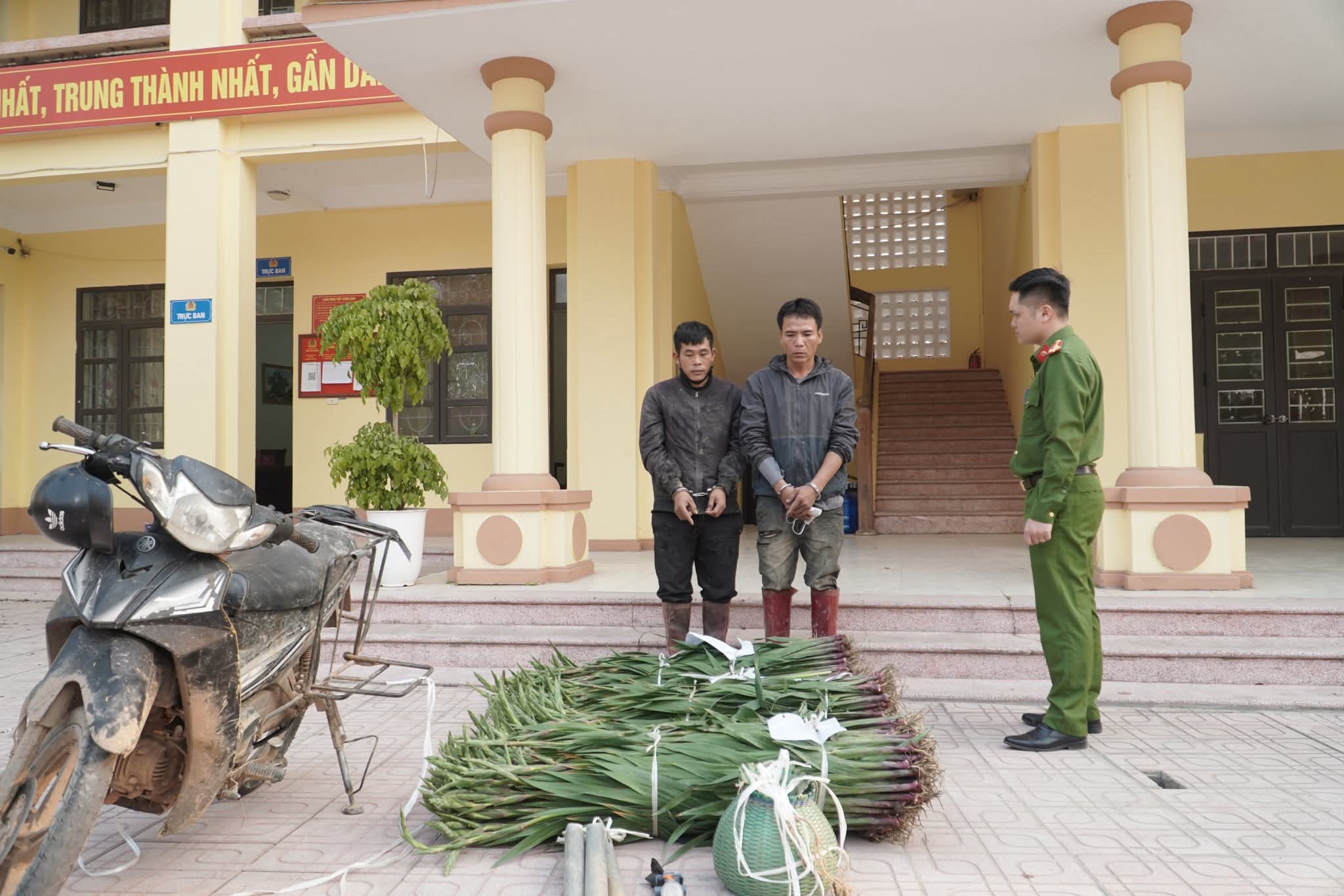 Công an xã Tân Dĩnh phát hiện, bắt giữ 2 đối tượng trộm cắp hoa dơn