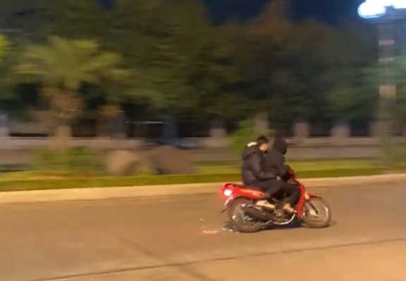 Đá lửa, không vũ, mắc võng ở Quảng Trường 3/2