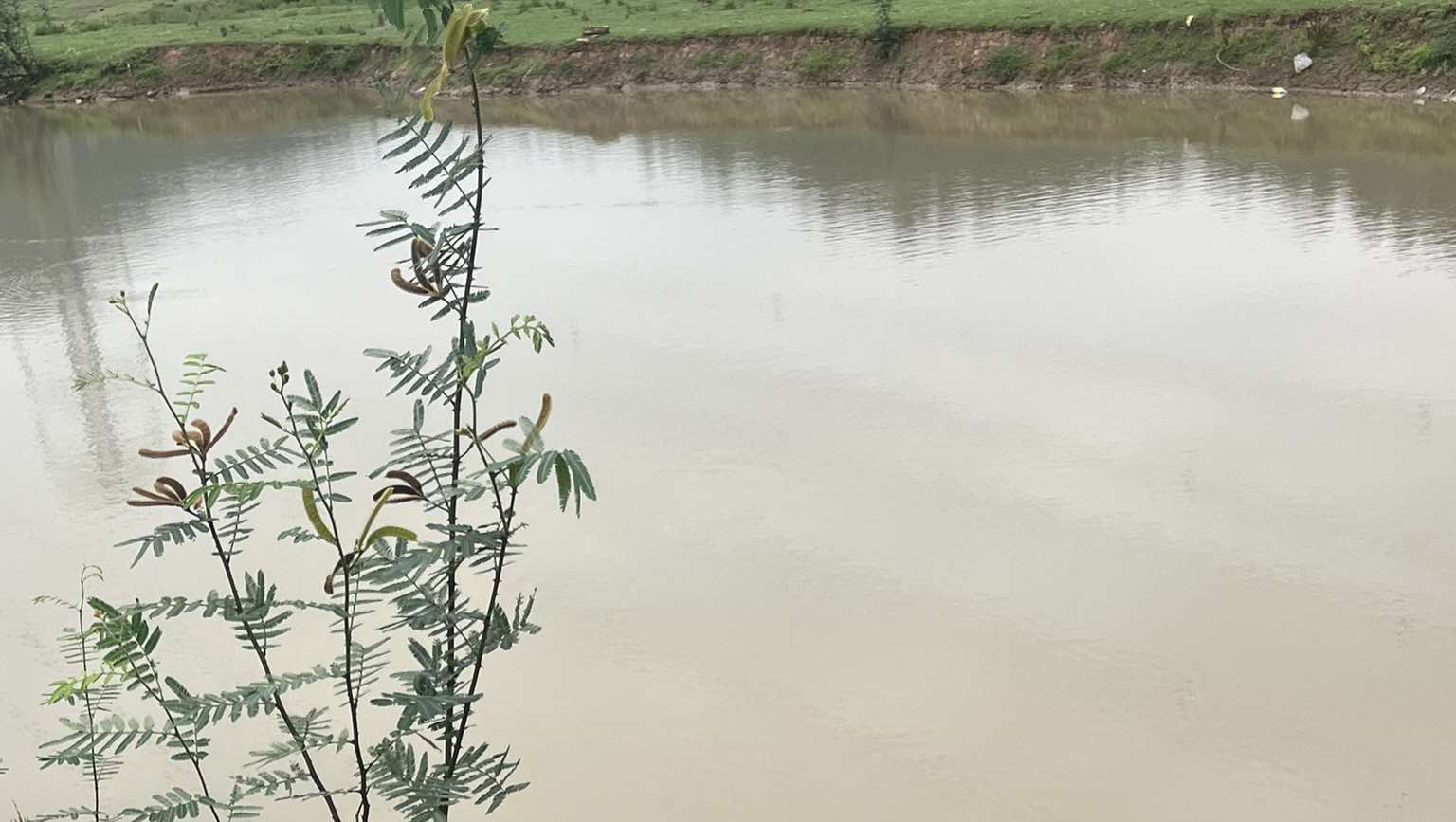 Clip hiện trường