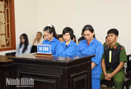 Xét xử vụ án mua bán 8 trẻ sơ sinh, 3 bị cáo lĩnh 40 năm tù