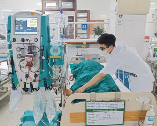 Suy đa tạng phải lọc máu khẩn cấp sau khi ăn mật cá trắm