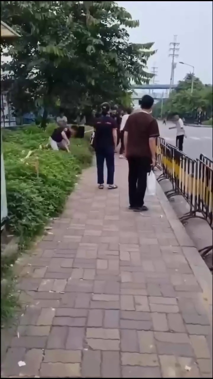 clip sự việc