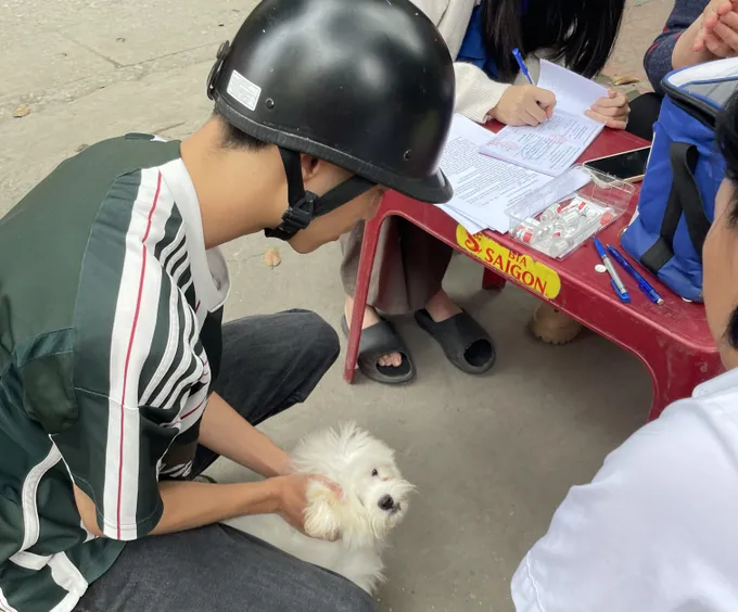 54 người tử vong do bệnh dại, cảnh báo nguy cơ từ chó mèo