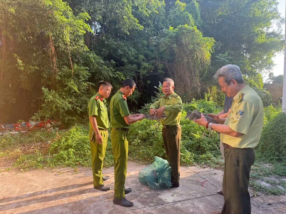 Mỹ Thái: phát hiện 03 vụ vi phạm các hành vi về bảo vệ động vật rừng