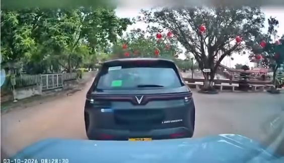 Clip ăn vạ